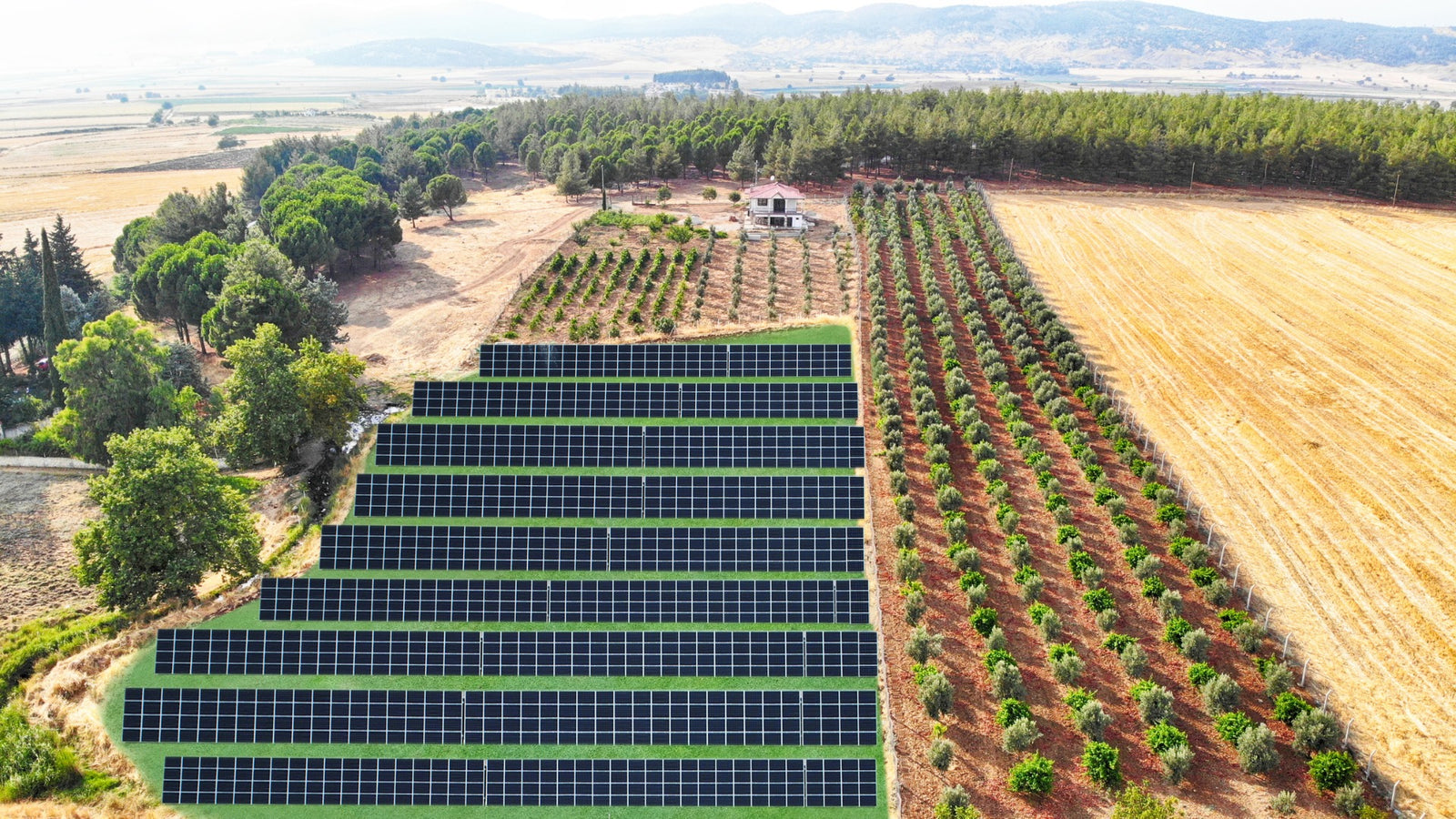 Recommendations for Renewable Energy Policy - Contact EHI Corp. to learn more about developing sustainable policy frameworks for renewable energy.