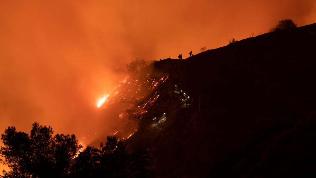 Cómo la energía renovable puede ayudar a reducir los riesgos de incendios forestales