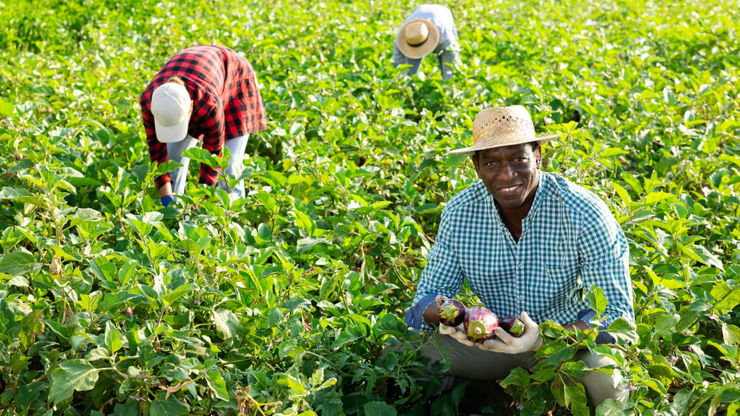 Oportunidades en tecnología agrícola en América Latina